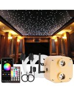 Fiber Optic Light Bluetooth APP Control 20W TWINKLE RGBW Dual Head Ceiling Stars Lights Home Lighting Gear