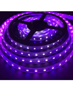 SMD5050 Ultraviolet 380-385nm UV LED Strip Light 60LEDs/M 5M 12V